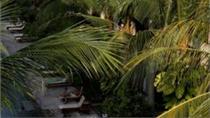 Oasis Nusa Dua