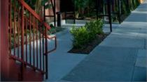 Hollywood Heights