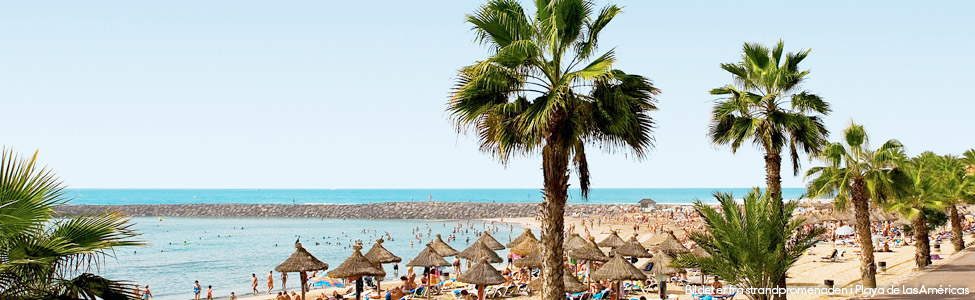 Tenerife