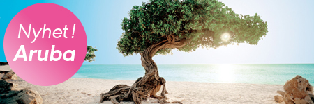 Aruba