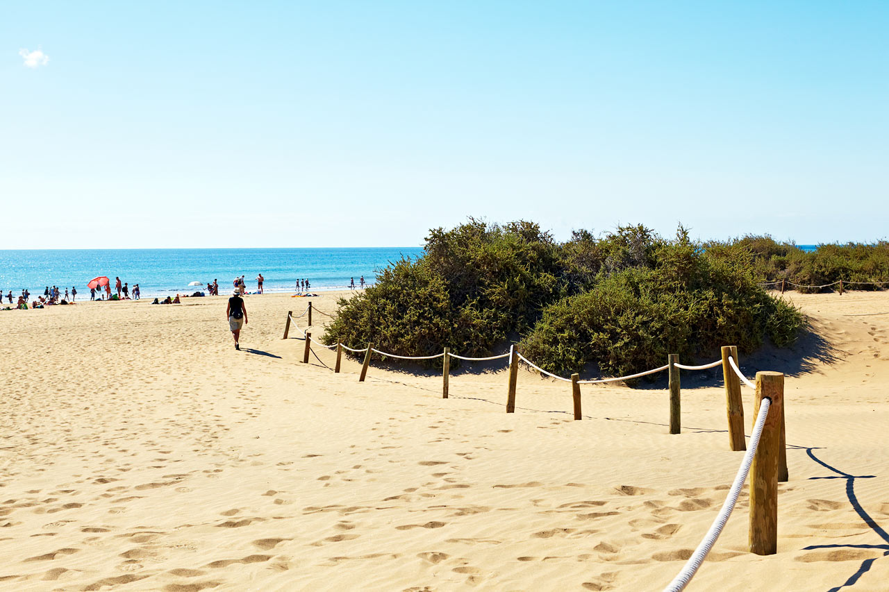 Ving playa del ingles Ving playa del ingles